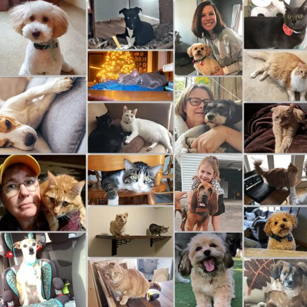 Speed Queen Pet Plus